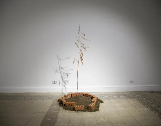 Demonic Intervention 2 (1)